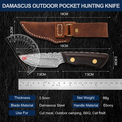 New Kitchen Fruit Knives Full Tang Damascus Chef Knife Mini Sharp Pocket Knife Parig Utility Black Ebony Handle Fixed Knives