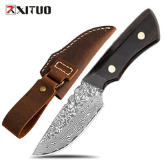 New Kitchen Fruit Knives Full Tang Damascus Chef Knife Mini Sharp Pocket Knife Parig Utility Black Ebony Handle Fixed Knives