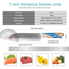 Damascus Steel Chef Santoku Knife 7 Inch Japan VG-10 67 Layer Kitchen Slicing Knife, Asian Sharp Chef's Knife for Meat Vegetable