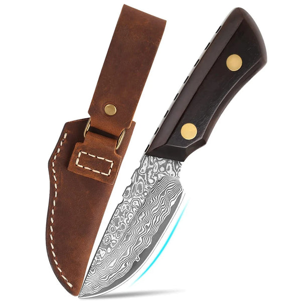 New Kitchen Fruit Knives Full Tang Damascus Chef Knife Mini Sharp Pocket Knife Parig Utility Black Ebony Handle Fixed Knives