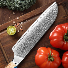 Damascus Steel Chef Santoku Knife 7 Inch Japan VG-10 67 Layer Kitchen Slicing Knife, Asian Sharp Chef's Knife for Meat Vegetable