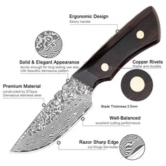 New Kitchen Fruit Knives Full Tang Damascus Chef Knife Mini Sharp Pocket Knife Parig Utility Black Ebony Handle Fixed Knives