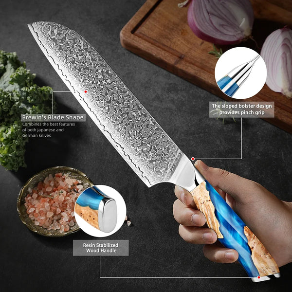 Damascus Steel Chef Santoku Knife 7 Inch Japan VG-10 67 Layer Kitchen Slicing Knife, Asian Sharp Chef's Knife for Meat Vegetable
