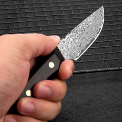 New Kitchen Fruit Knives Full Tang Damascus Chef Knife Mini Sharp Pocket Knife Parig Utility Black Ebony Handle Fixed Knives